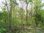 17395100_2081.JPG