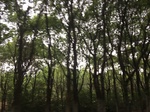 2017-09-10_20-51-01_3B9B746D-F3AF-4EF0-8431-7E6F7821D74A.jpg
