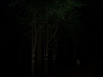 17377100_2063.JPG