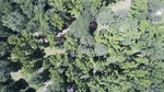 2017-06-12_13-57-39_DJI_0065.jpg