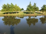 2012-09-24_21-08-27_CIMG0068.JPG