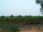 520526042008(3).JPG