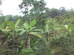 5887100_1591.JPG