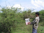 834760-scrubland-2m-a.jpg