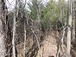 2020-12-04_09-20-09_PB040104_P1_C1.JPG
