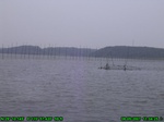 1616R0015257_tag.jpg