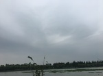 2017-09-10_20-50-52_53678276-E00F-4357-9D6F-6EC300E130C0.jpg