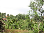 13792IMG_4055.JPG