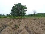 18595P1000432.JPG