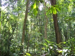 17522100_2783.JPG