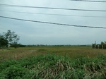 39581CIMG1660.JPG