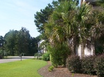 2012-09-02_09-47-27_SC-GT-9 South.jpg