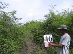 830946-scrubland-3m-a.jpg
