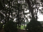 2017-09-10_20-48-59_9D353645-852E-41DF-8080-82D5F55E522B.jpg