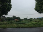 2017-09-10_08-37-19_D6DFFC35-0B13-4EB1-AC21-14D53E6F8A7A.jpg