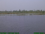 1214R0015056_tag.jpg