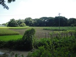 21340DSC00605.JPG