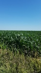 2017-07-06_08-13-38_IMG_20170705_164010.jpg