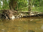 2012-09-16_22-16-42_Marsh Creek-4.jpg