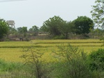 482602052008(23).JPG