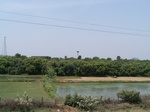 17322100_2008.JPG