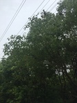 2017-09-10_07-08-47_988E511C-33BB-4EC0-B452-91E8D3E44E4B.jpg