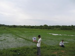 828236-cropland-rice-fallow-with-high-weeeds-a.jpg