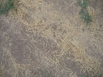 8197vp035-fallow-farm-a.jpg