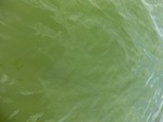 2012-09-21_14-26-30_CIMG3084.JPG