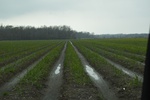 2021-02-02_11-05-13_DSC_0003.JPG
