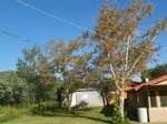 2012-09-20_15-07-05_AZ-YV-38.JPG