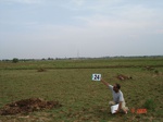 6163024c-irrigated-supplemental-rice-rainfall-dependent-tank-irrigation-2crops.jpg