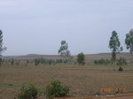 8897nigeria 109.jpg