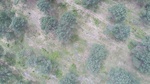 2017-06-12_13-57-37_DJI_0025.jpg