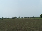 485802052008(52).JPG