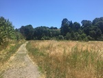 2017-07-05_15-39-42_E.jpg
