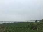 2017-09-10_20-32-14_5CEE250A-F16A-4679-82F9-0C9E77EF7B3C.jpg