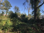 2018-11-09_10-46-27_3BD0436E-4A44-47F2-98A2-CF2F77F8013A.jpg