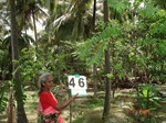 6263046c-irrigated-minor-supplemental-plantation-coconut-dominant-minor-patches-of-other-crops.jpg
