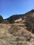 2017-02-21_21-15-13_C68BF89D-7C3C-44F0-94AC-201A29798AA5.jpg