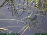 1430R0015164_tag.jpg