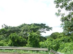 20317P1020174.JPG