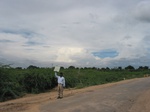 7900gt104b_scrubland.jpg