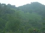 2012-09-08_19-26-21_RIMG0016.JPG
