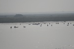 4130IMG_8767.JPG