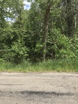 2017-05-29_15-04-47_53697700-BE98-4138-A283-7612208D79F4.jpg