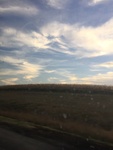2017-12-08_11-29-47_55A09C12-7BF0-4A15-9AA2-57FBF4AAF871.jpg
