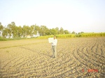 6480gt020-cropland-2.jpg