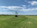 2020-08-07_10-17-38_2020-8-7-10-17-9.jpg
