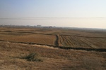 4464IMG_7005.jpg